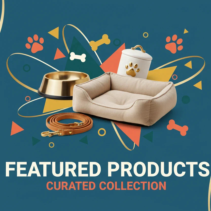 Random products on a blue background
