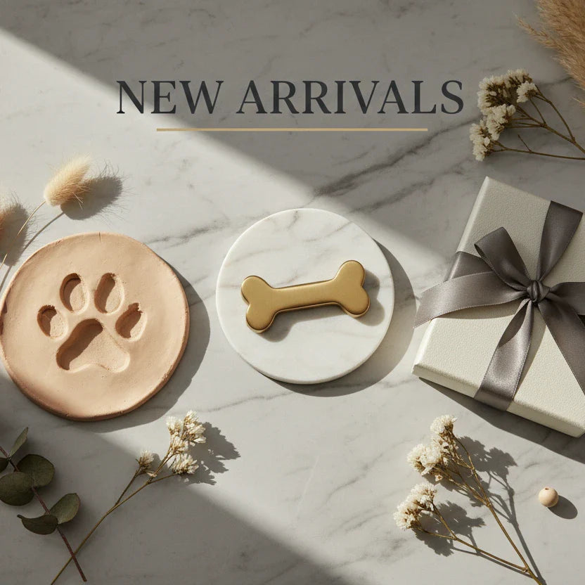 Random products with new arrivals text 