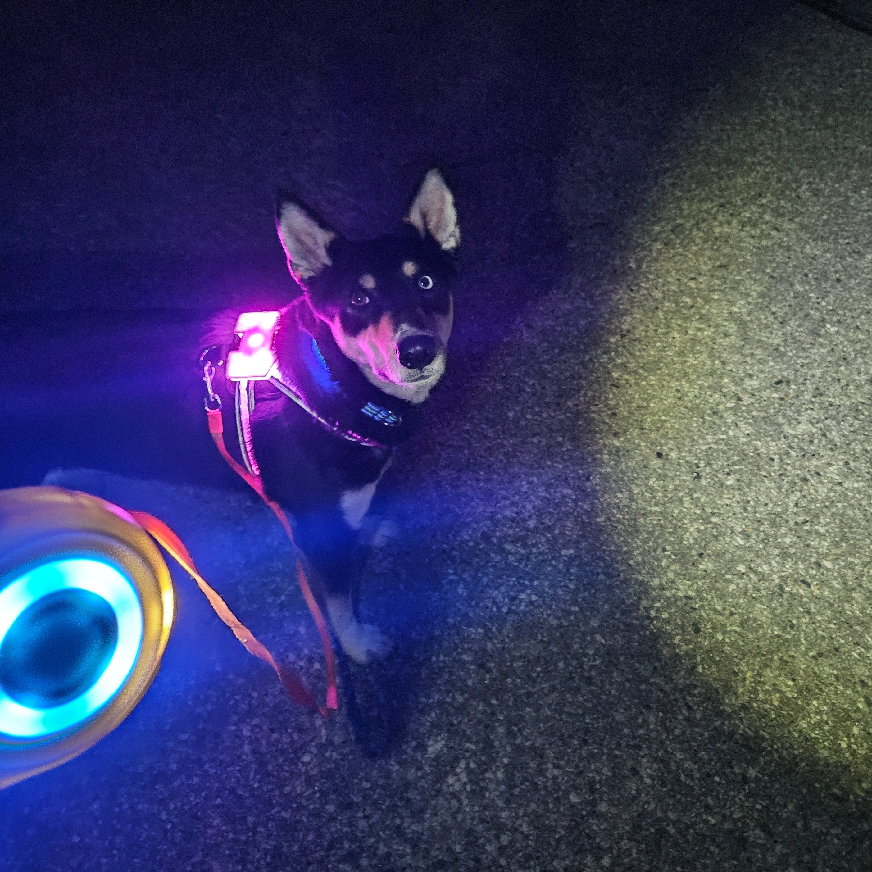 Night-time Safety