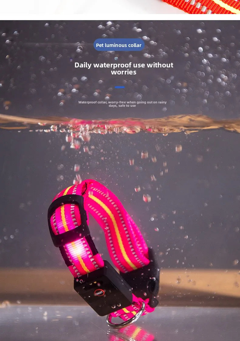 Glow Series LED Dog Collar