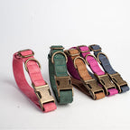 Set of colorful dog collars with brass buckles on a white background