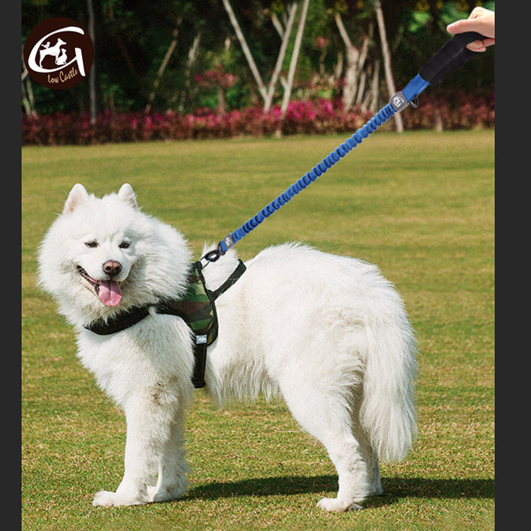 White dog on a leash in a grassy area with a blurred background