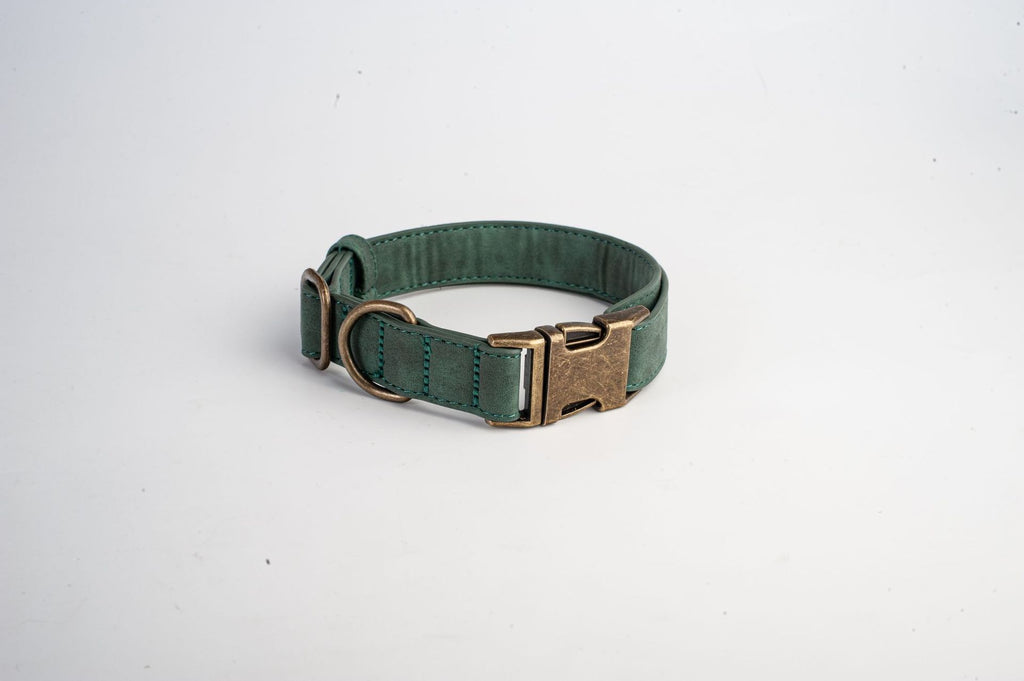 Green dog collar with a brass buckle on a white background
