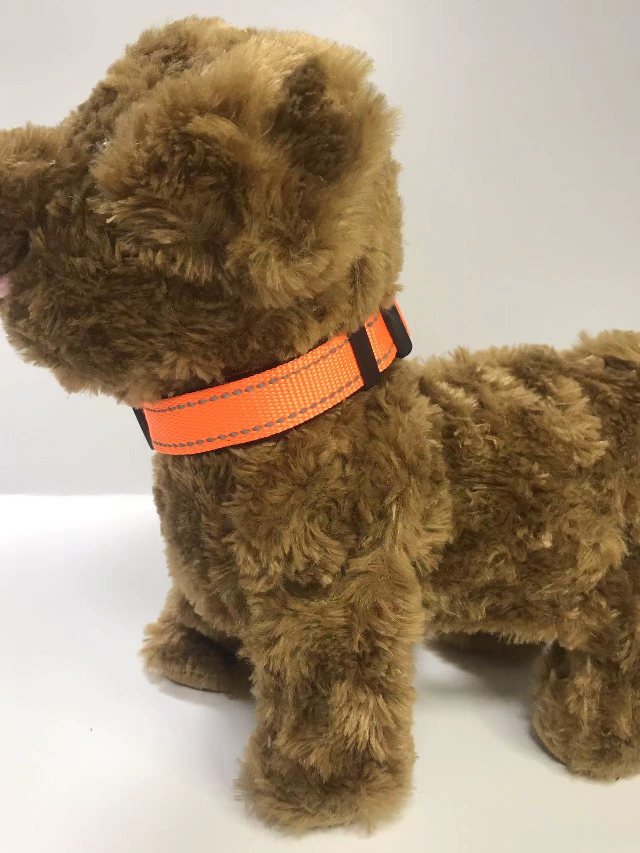 Everyday Reflective Collar