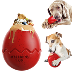 Mysterious Dino Egg Treat Toy
