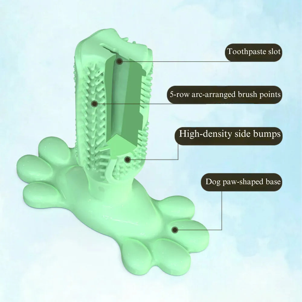 Paw Print Toothbrush Chew