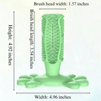 Green toothbrush with measurements on a white background