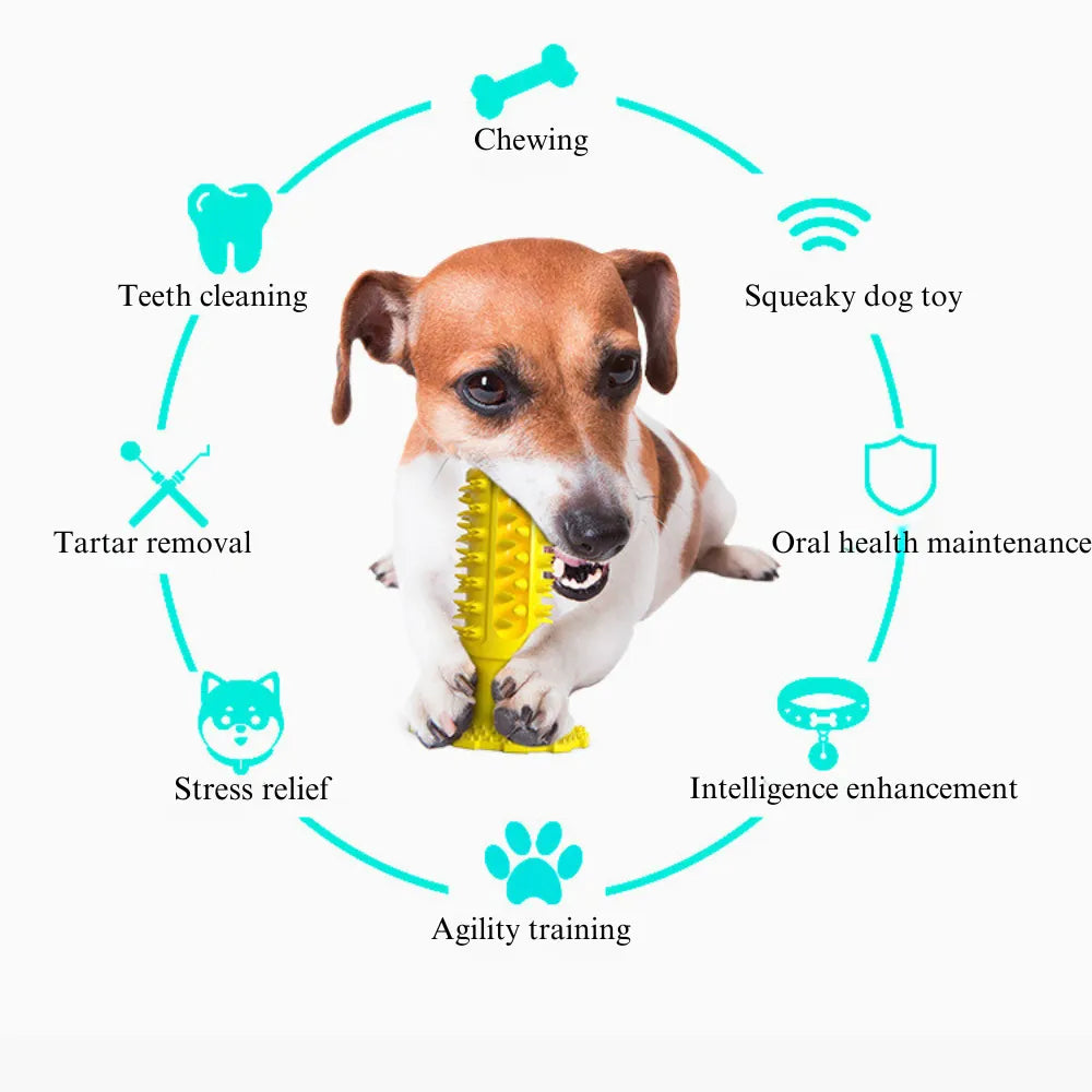 Paw Print Toothbrush Chew