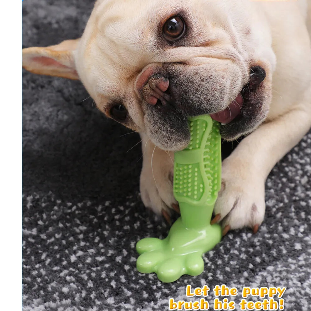 Paw Print Toothbrush Chew