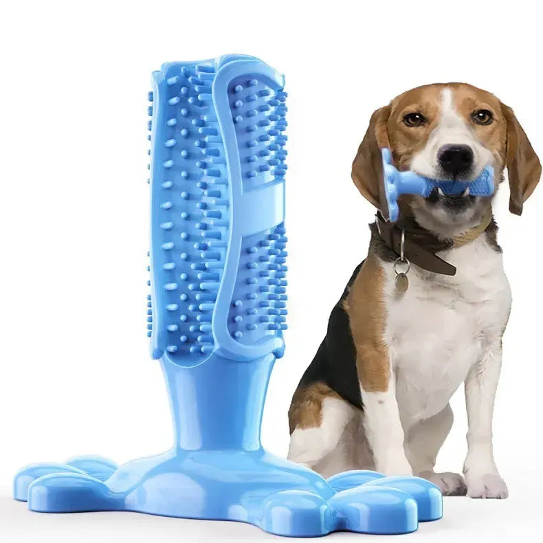 Paw Print Toothbrush Chew