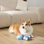 Corgi dog lying on a wooden floor with a blue hippo toy in front of a beige sofa.