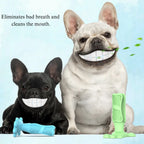 Two dogs with dental toys and text about bad breath elimination.