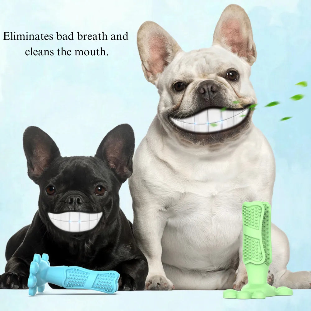 Two dogs with dental toys and text about bad breath elimination.