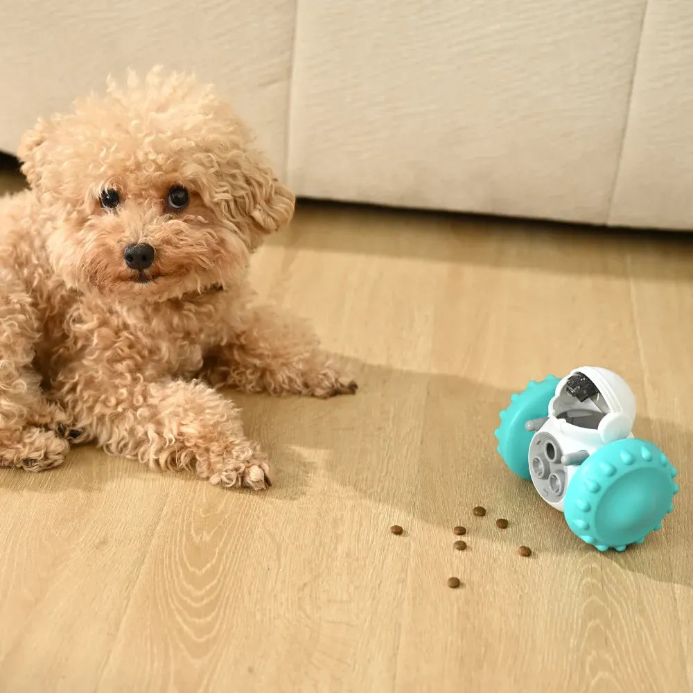 Dog playing with a teal and white robot toy on a wooden floor.