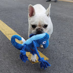 White dog holding a blue rope toy on a road