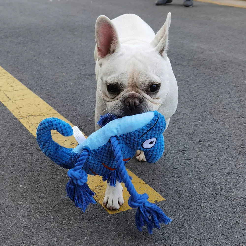 Tough Chameleon Squeaker