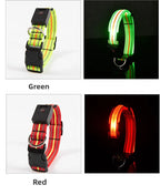 LED dog collars in green and red on a white background