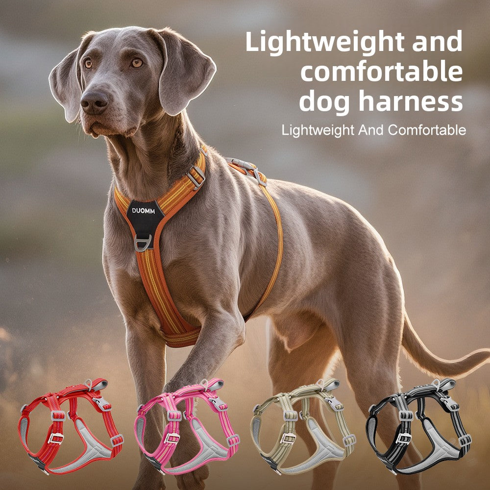 Everyday Easy-On No-Pull Harness