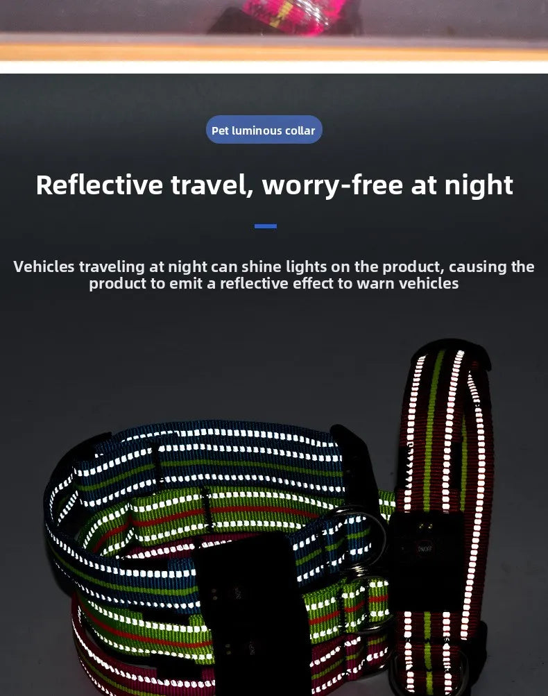 Glow Series LED Dog Collar