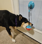 Talia playing with tug & play suction cup toy on a window.