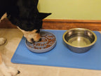 Dog eating from silicone mushroom bowl on a blue mat with a water bowl nearby.