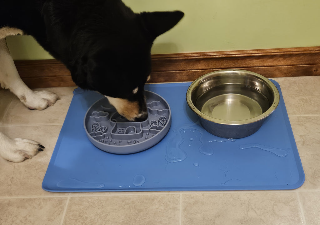 Dog eating from silicone bowl on a blue mat with water spill 