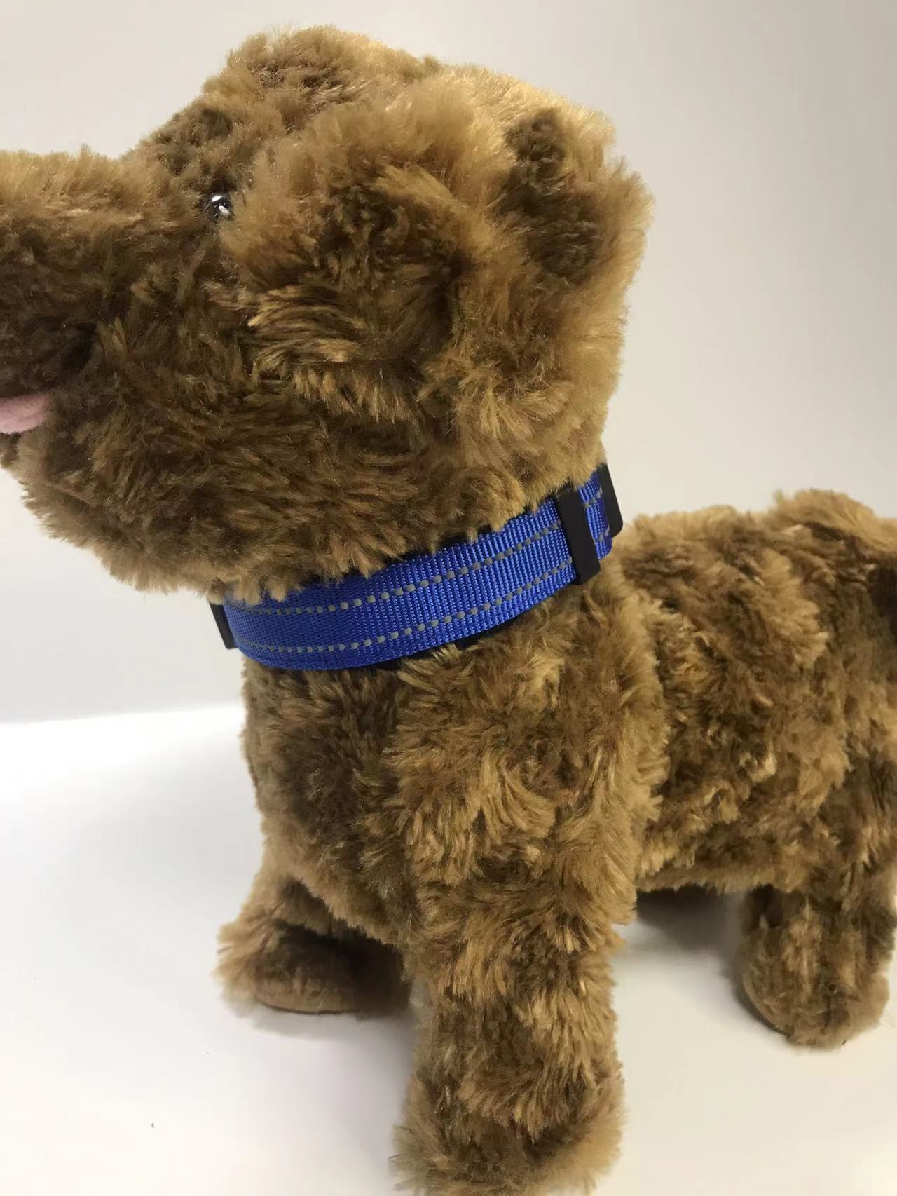 Everyday Reflective Collar