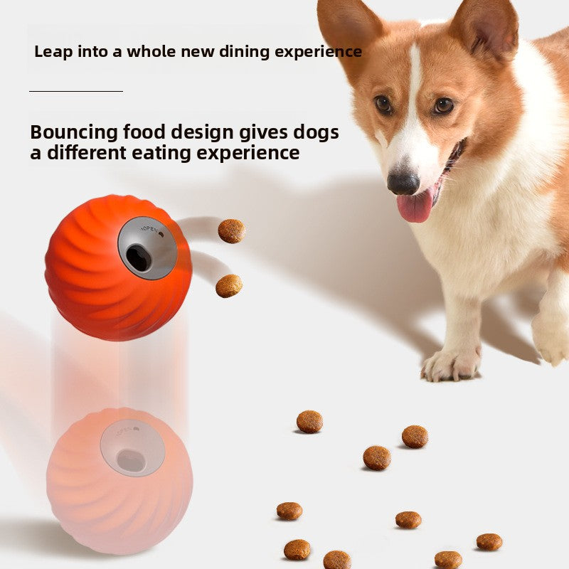 Smart Gravity Treat Ball