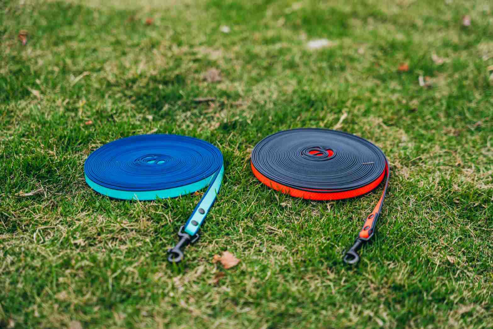 Waterproof Long-Line Leash
