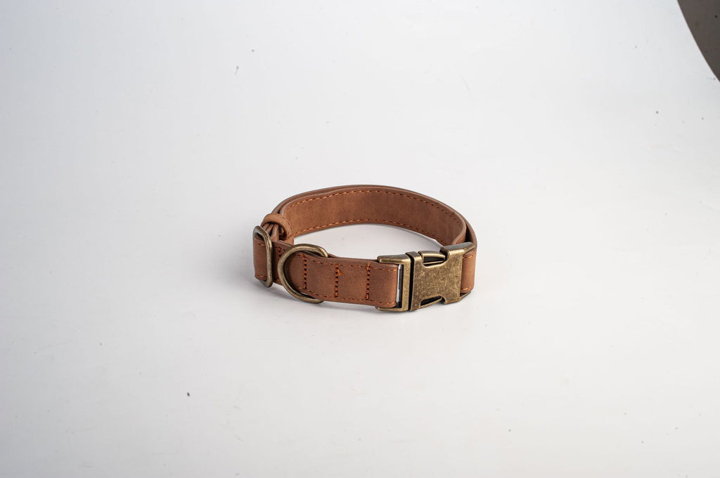 Brown leather dog collar with brass hardware on a white background