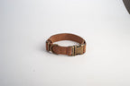 Brown leather dog collar with brass hardware on a white background