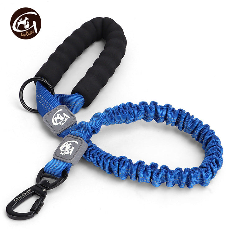 Blue dog leash with black handle and carabiner on a white background