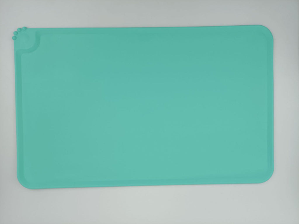 Teal silicone mat on a light gray background