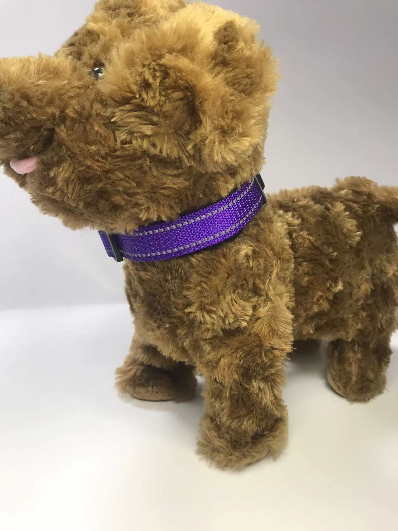 Everyday Reflective Collar