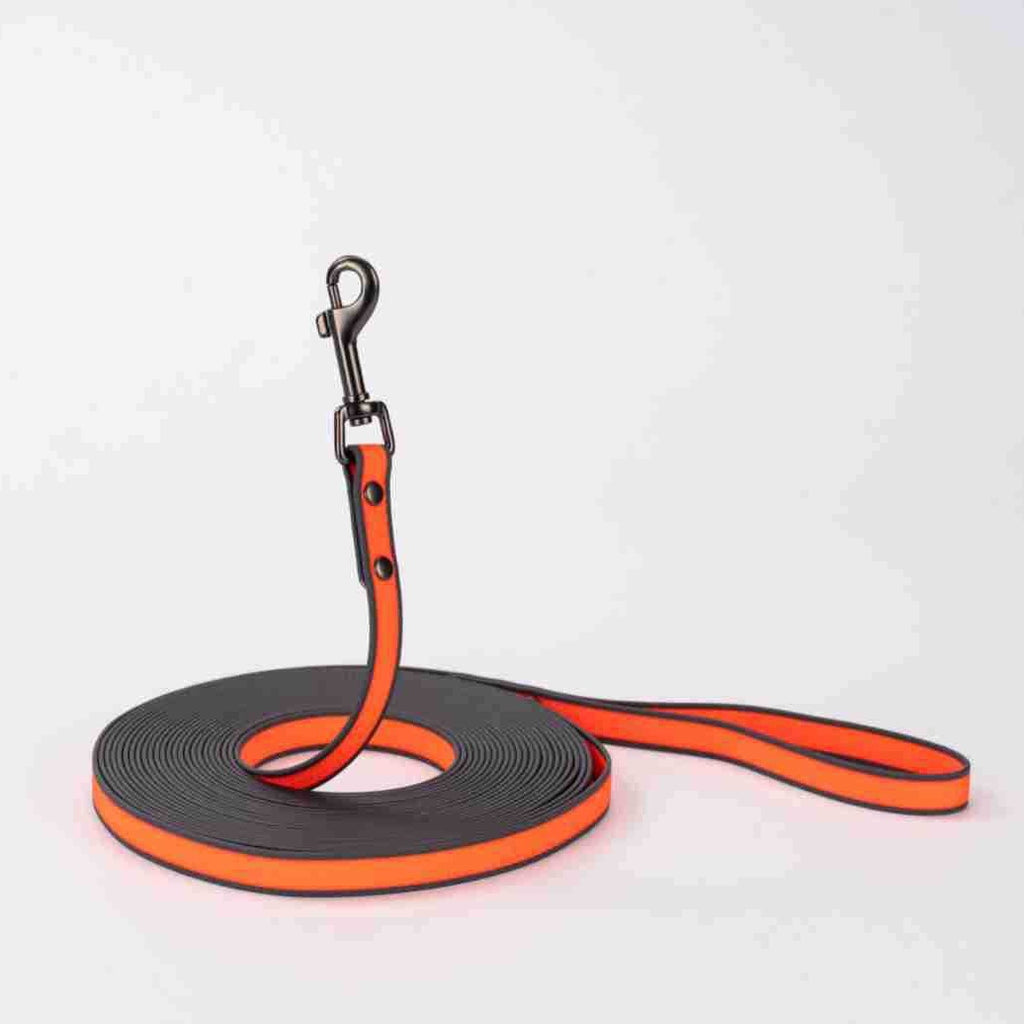 Dog leash with black and red design on a white background