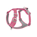 Rose red and gray dog harness with striped pattern on a white background