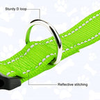 Green dog collar with a sturdy D loop and reflective stitching on a light gray background