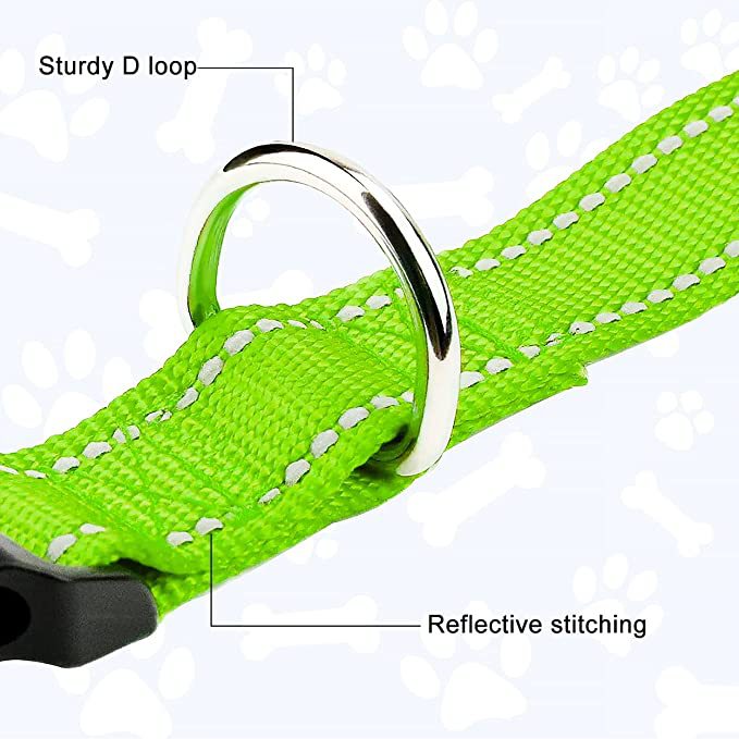 Everyday Reflective Collar
