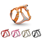 Set of dog harnesses in various colors on a white background