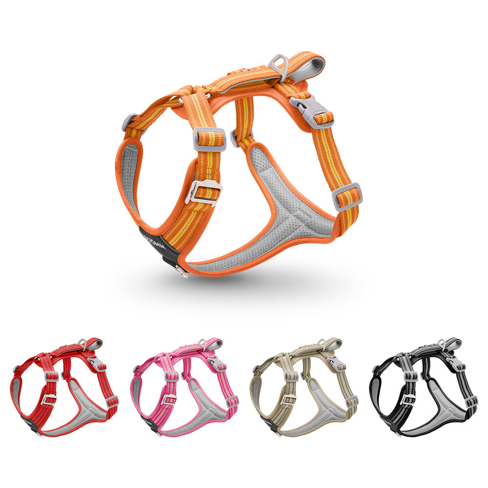Everyday Easy-On No-Pull Harness