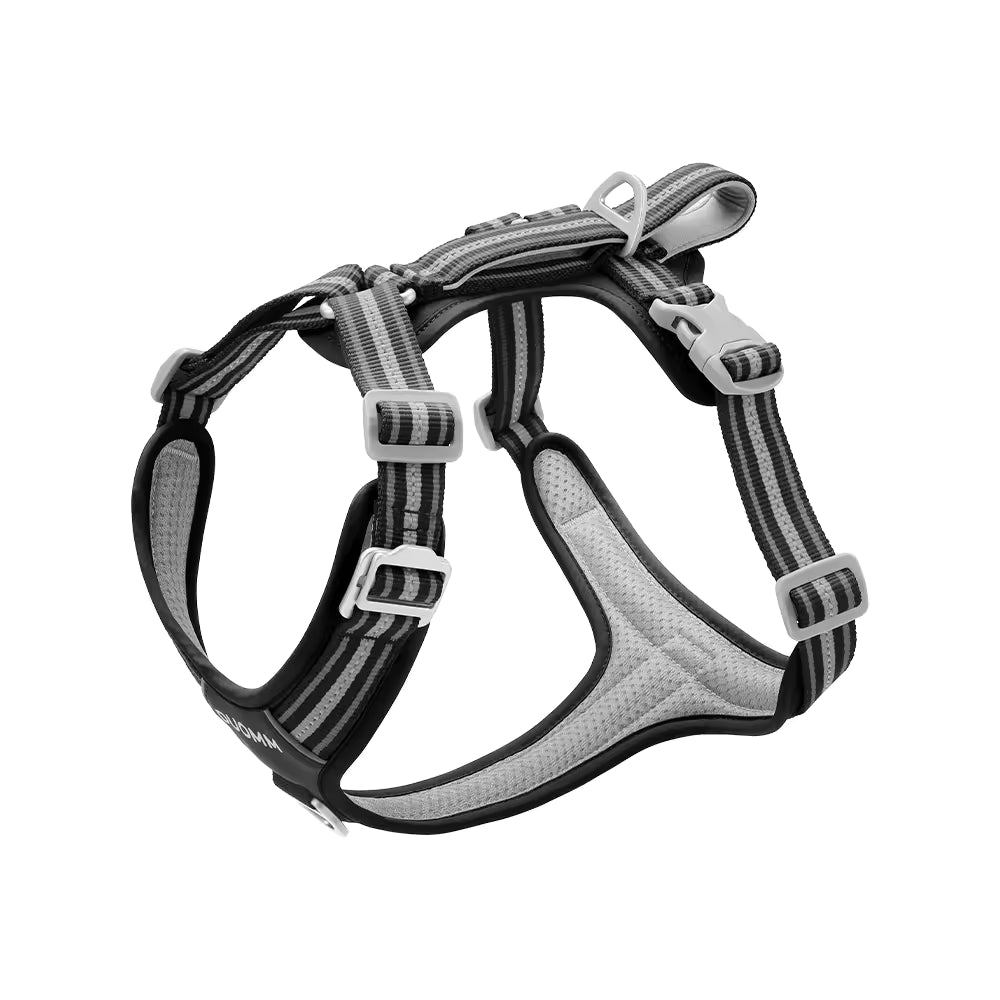 Everyday Easy-On No-Pull Harness