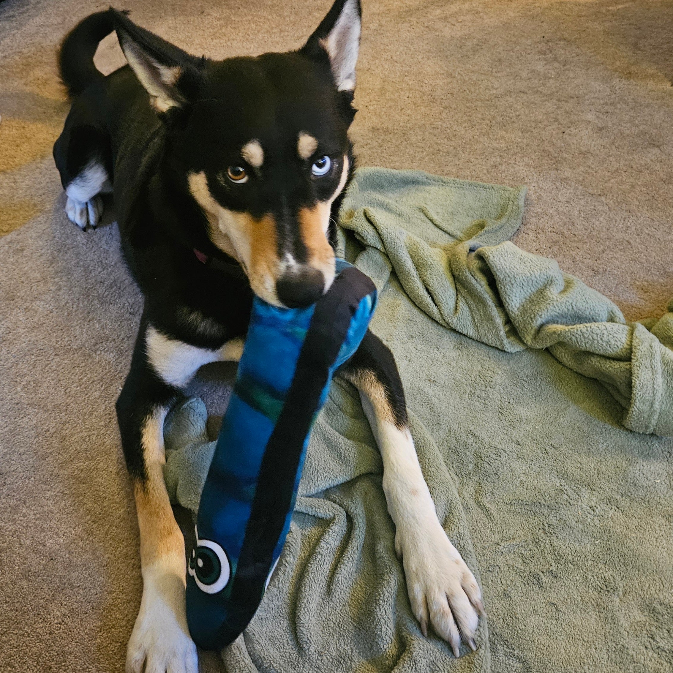 Crinkle Cobra Squeaker
