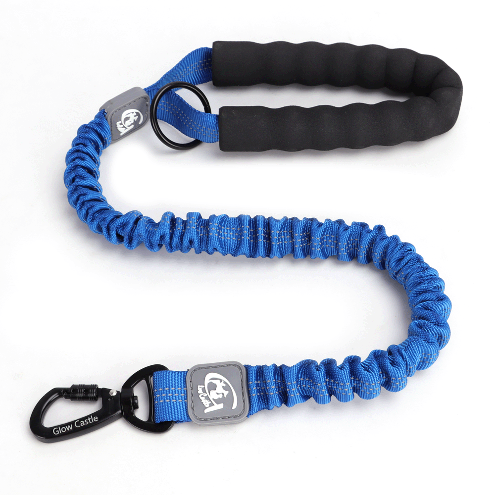 Blue dog leash with black handle on a white background