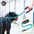 Dog on a leash with a person holding it, inset showing the leash's design.