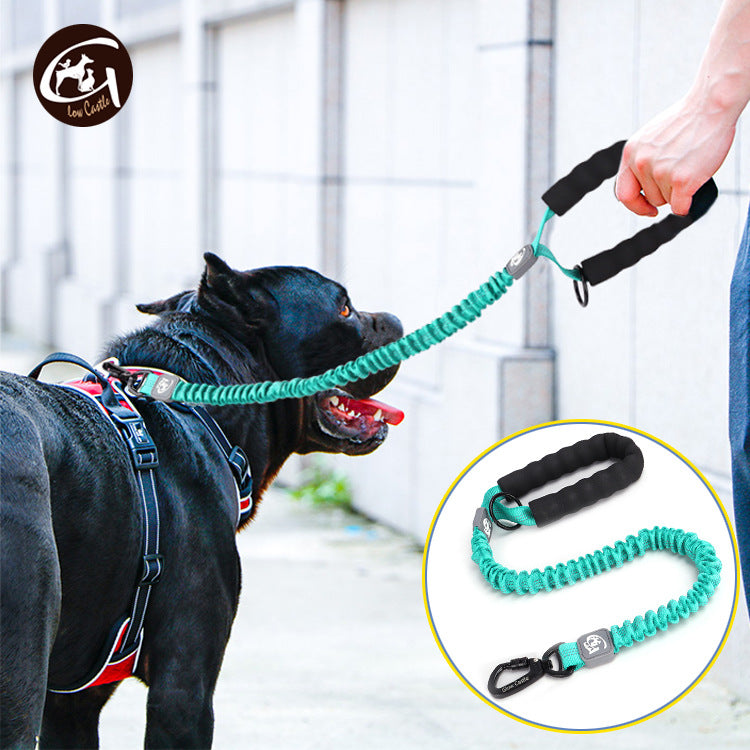 Dog on a leash with a person holding it, inset showing the leash's design.