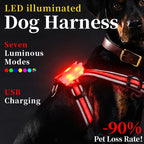 Dog wearing a LED illuminated harness with text highlighting features on a dark background