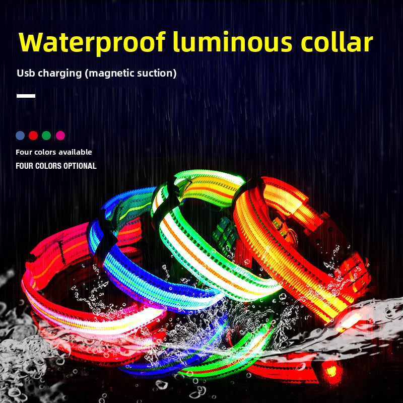 Glow Series LED Dog Collar