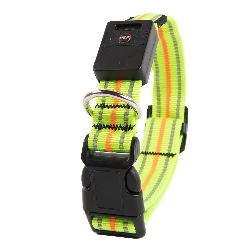 Glow Series LED Dog Collar