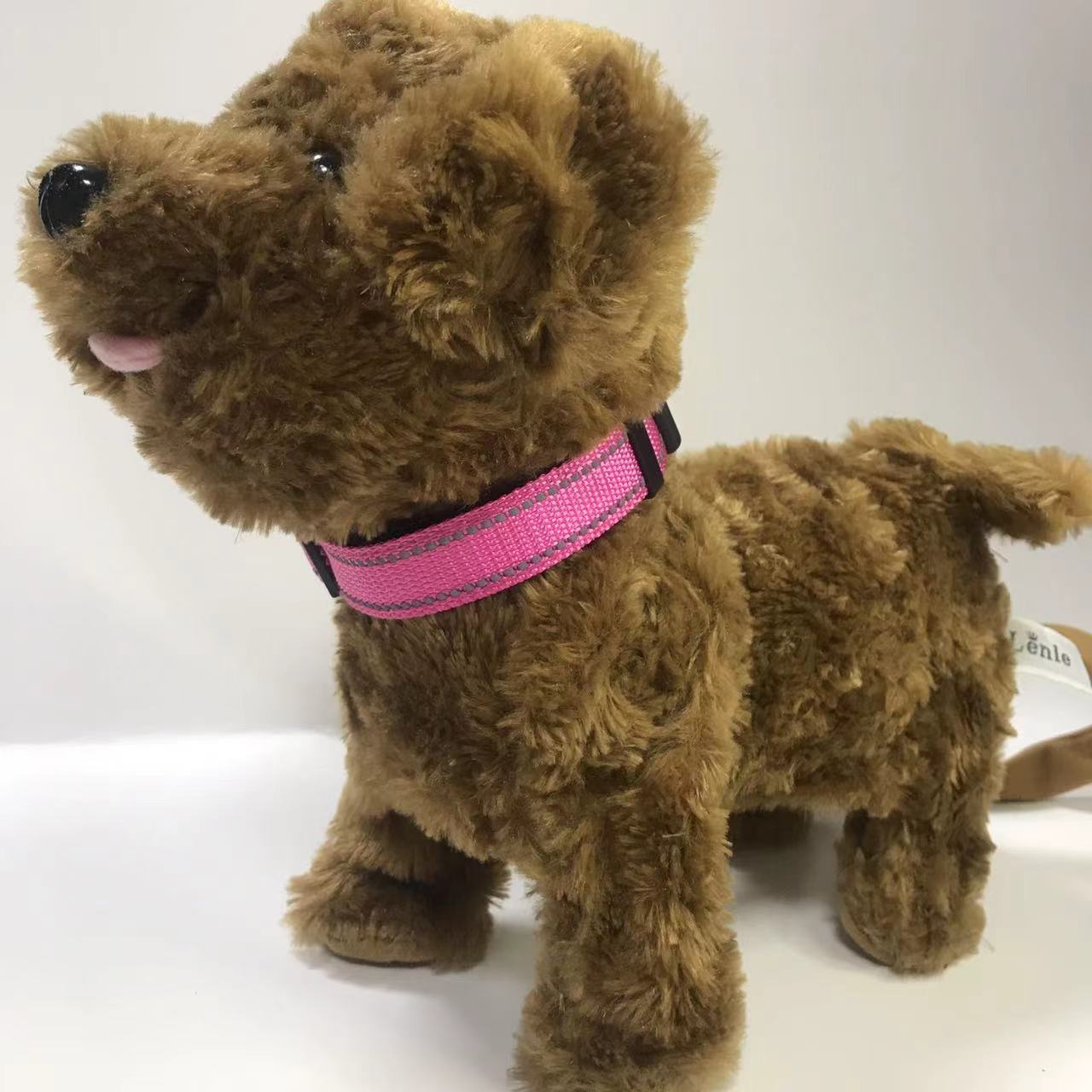 Everyday Reflective Collar