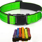 Green dog collar with black buckle and a set of colorful dog collars below on a white background